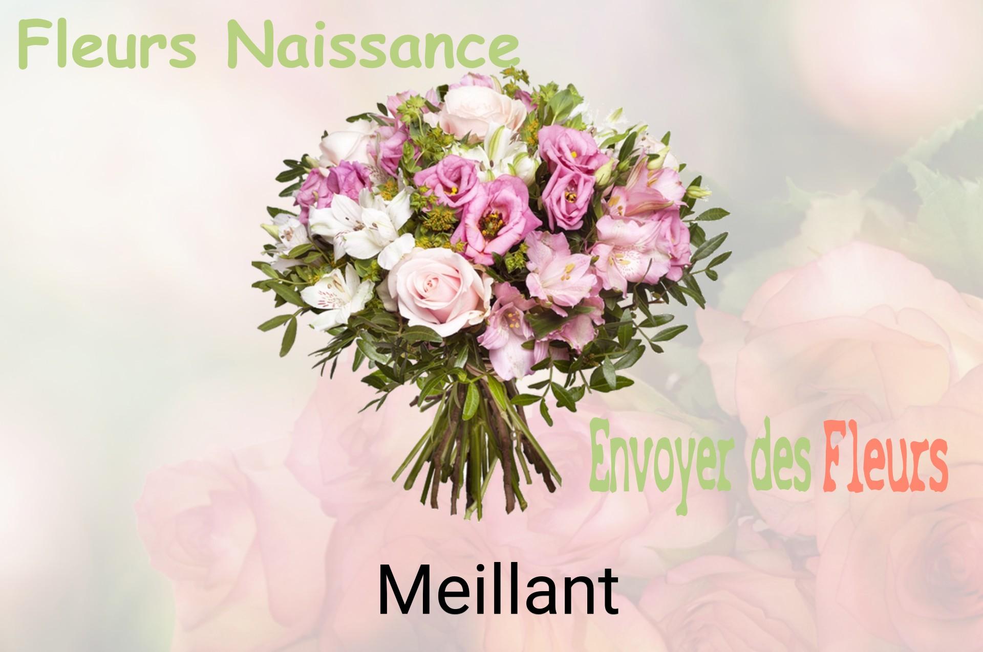 Bouquet de fleurs de naissance livré à Meillant