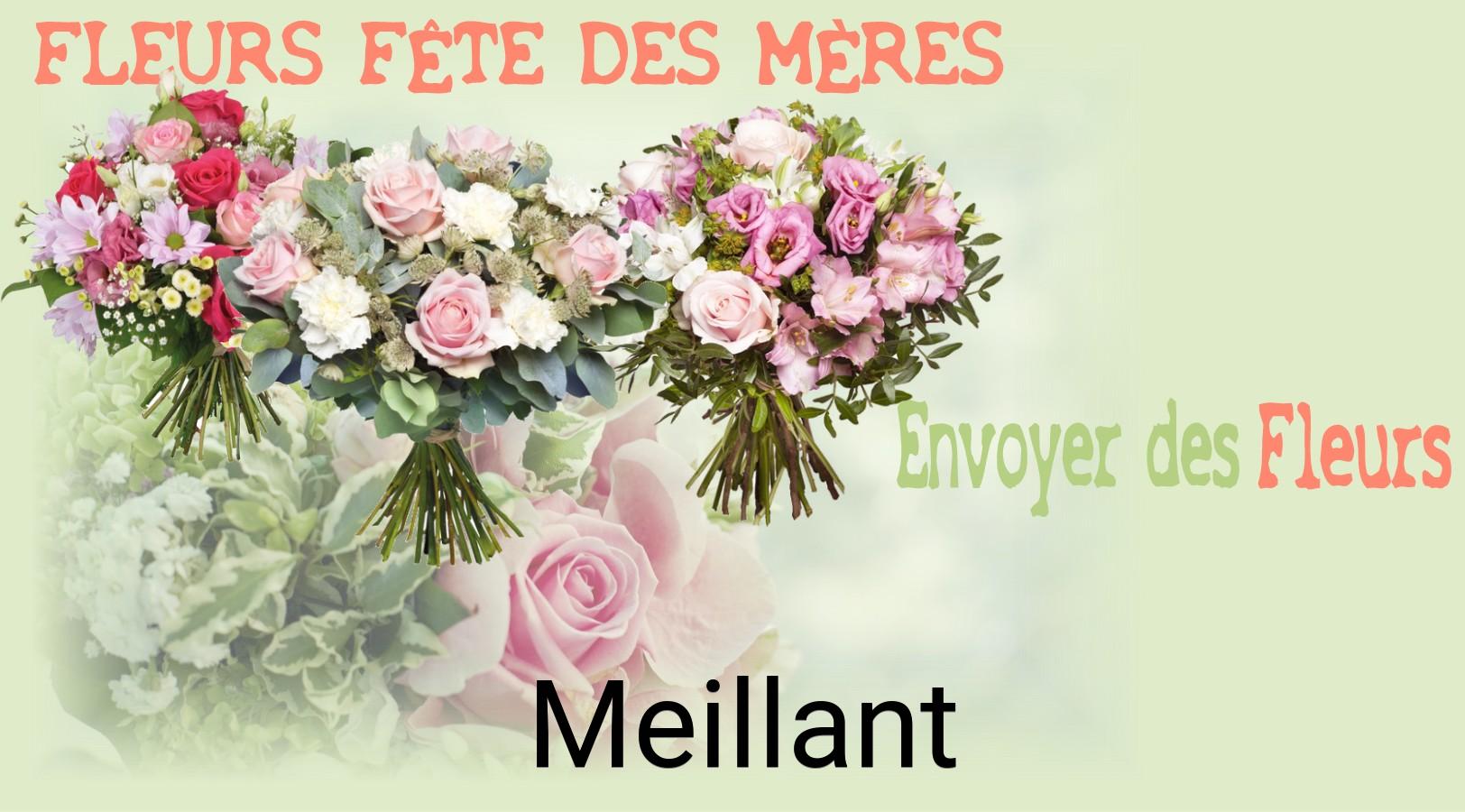 Bouquet de Fête des Mères livré à Meillant